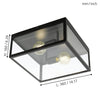 2 Bulb Steel Ceiling Light with Black Clear Glass