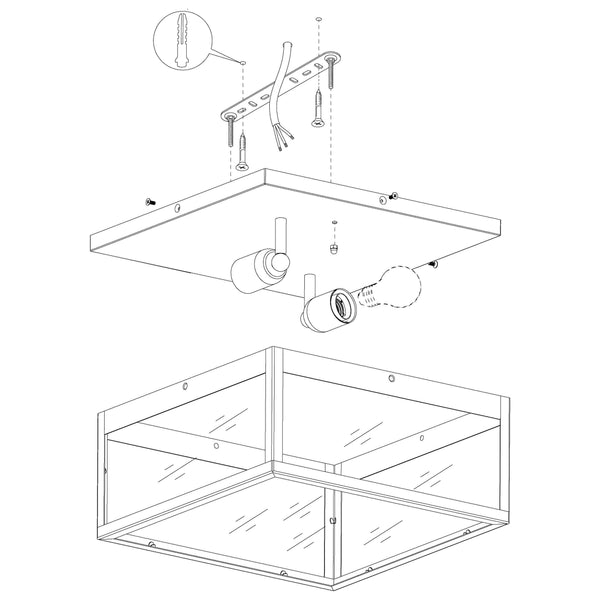 2 Bulb Steel Ceiling Light with Black Clear Glass
