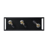 3 Bulb Steel Ceiling Light with Black Clear Glass
