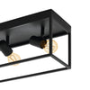 3 Bulb Steel Ceiling Light with Black Clear Glass