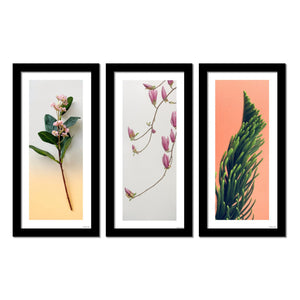 Sets of Floral and plants Frame Wall Painting