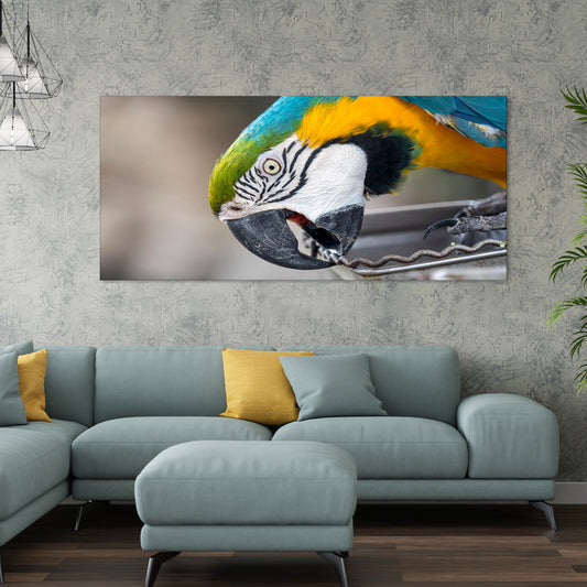 Macaw Parrot Premium Canvas Wall Painting