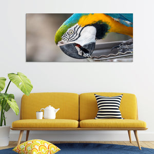 Macaw Parrot Premium Canvas Wall Painting