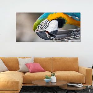 Macaw Parrot Premium Canvas Wall Painting