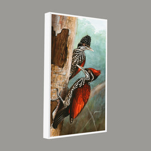 Ivory Billed Woodpecker Canvas Wall Painting For Hall