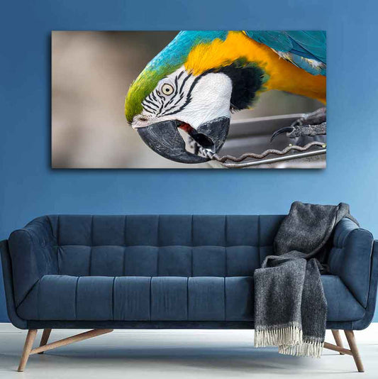 Beautiful Macaw Parrot Canvas Wall Painting