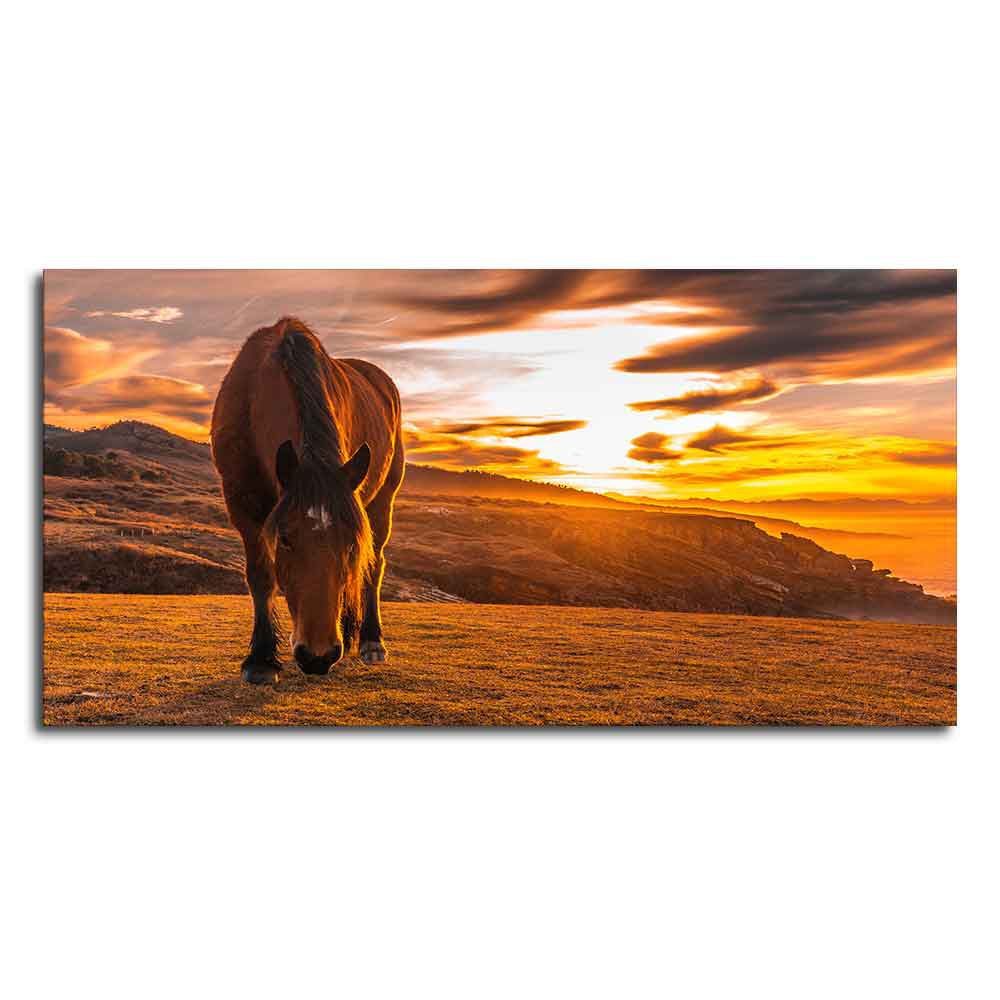 Brown Horse Eating At Sunset Premium Wall Painting