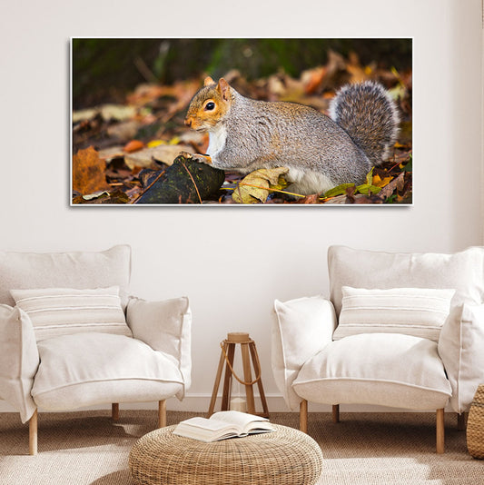 Canvas Wall Painting Squirrel in The Forest