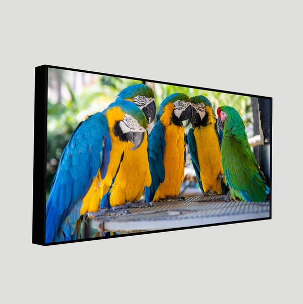 Colorful Mascaw Parrots Canvas Wall Painting