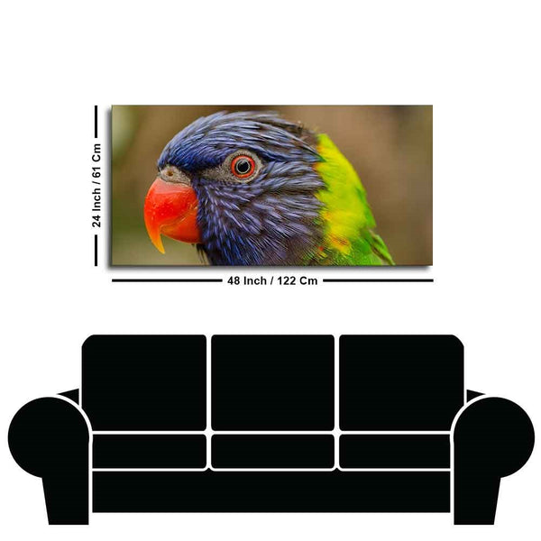 Colorful Parrot Premium Wall Painting
