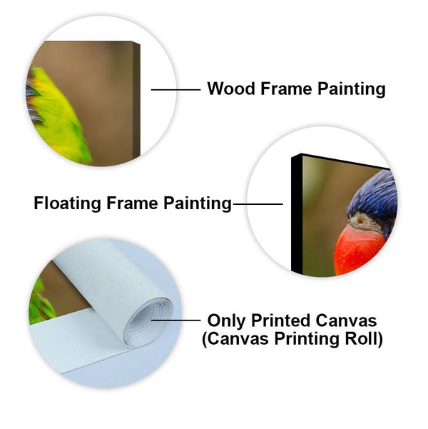 Colorful Parrot Premium Wall Painting
