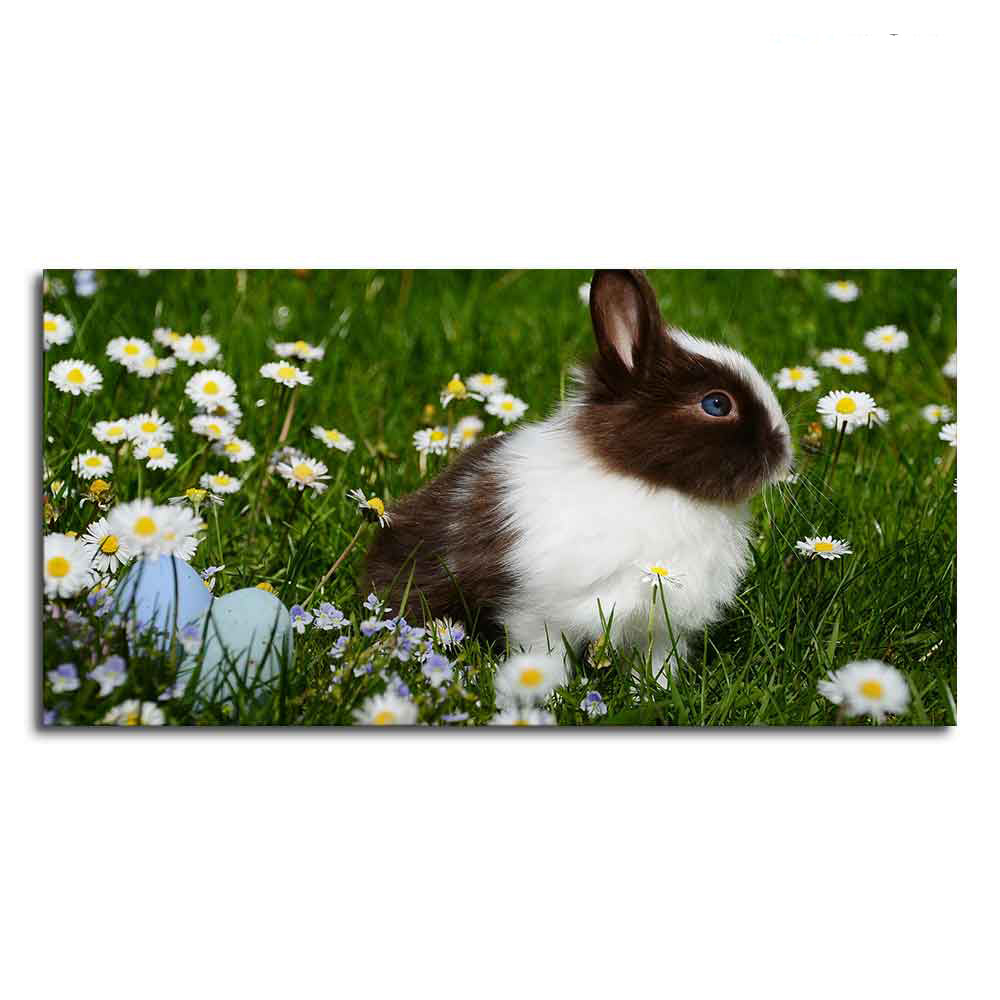 Cute Little White & Brown Bunny Premium Wall Painting