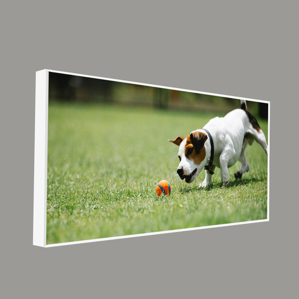 Dog Playing Canvas Wall Painting