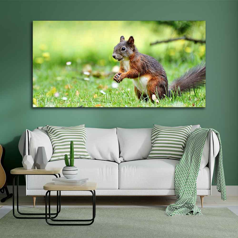 Little Squirrel in the Park Premium Wall Painting