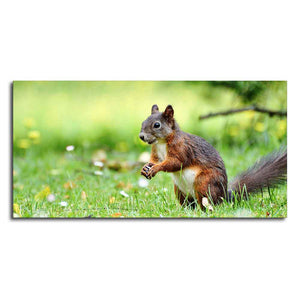 Little Squirrel in the Park Premium Wall Painting