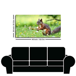 Little Squirrel in the Park Premium Wall Painting