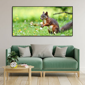 Little Squirrel in the Park Premium Wall Painting