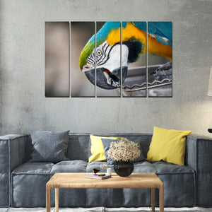 Macaw Parrot Canvas Wall Painting Set of Five