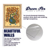 Madhubani Traditional Peacock Wall Frame Set of Four