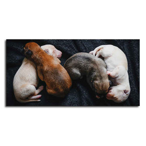 New Born Puppies Premium Canvas Wall Painting