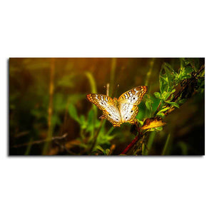 Premium Canvas Wall Painting of A Beautiful Butterfly in Forest