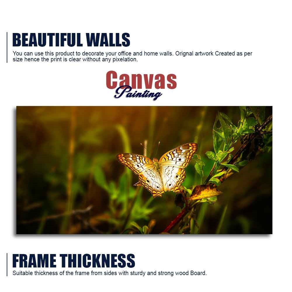 Premium Canvas Wall Painting of A Beautiful Butterfly in Forest