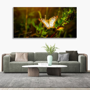 Premium Canvas Wall Painting of A Beautiful Butterfly in Forest