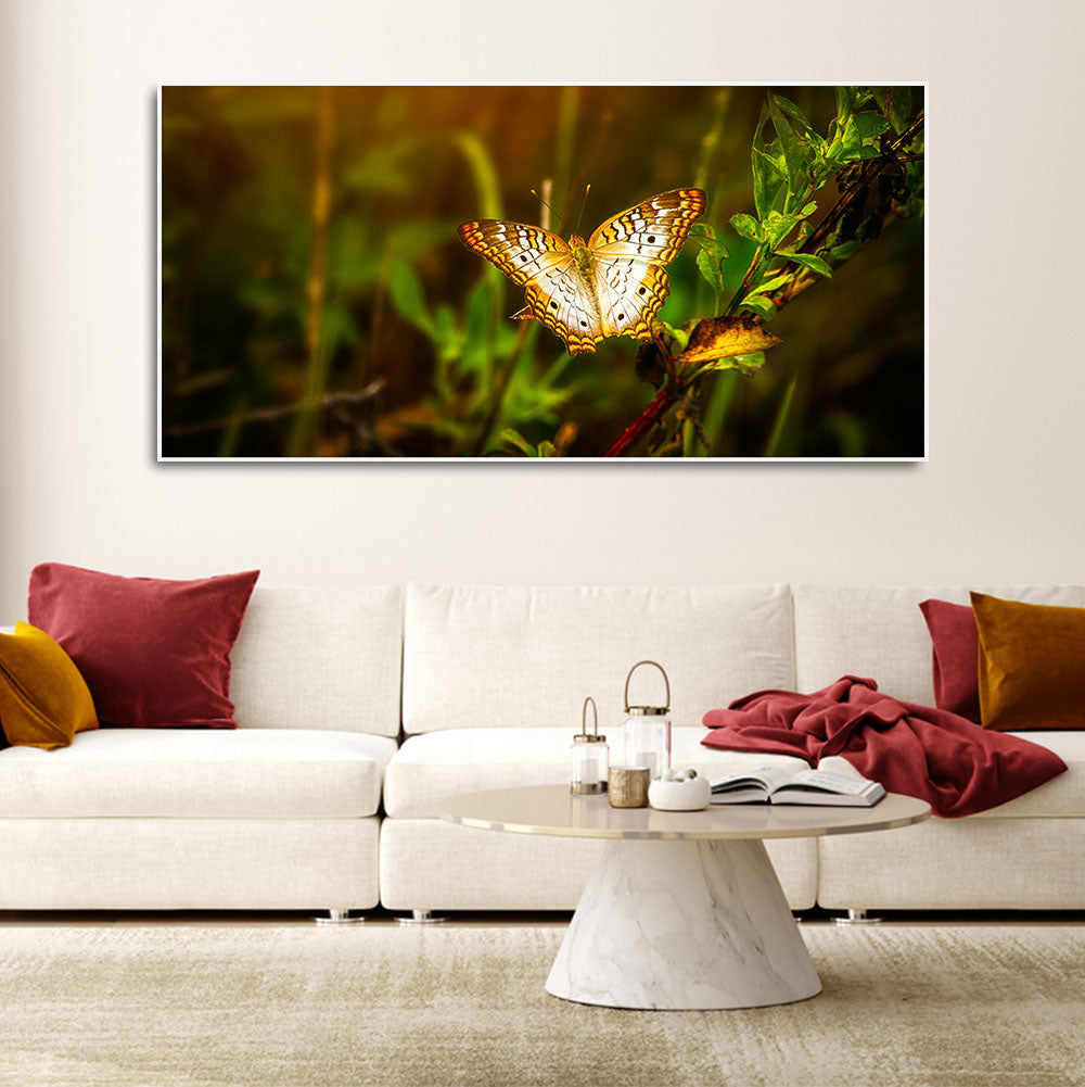 Premium Canvas Wall Painting of A Beautiful Butterfly in Forest