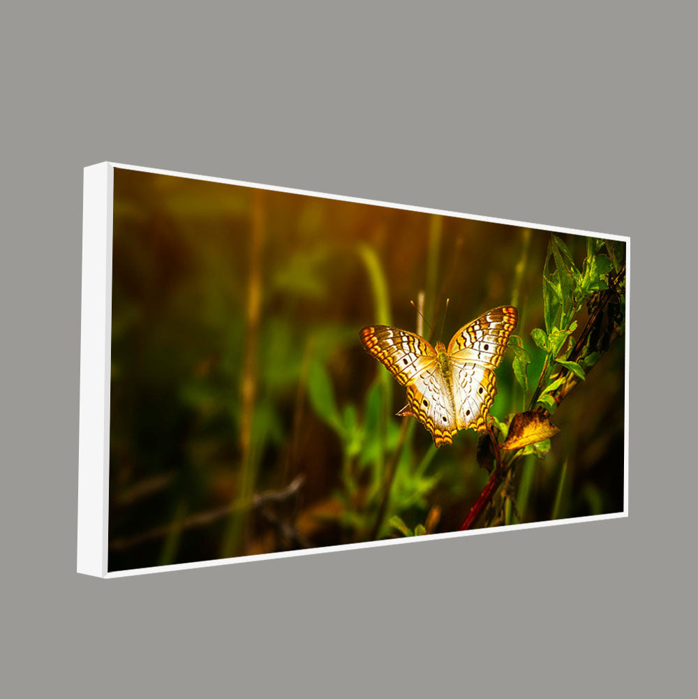 Premium Canvas Wall Painting of A Beautiful Butterfly in Forest