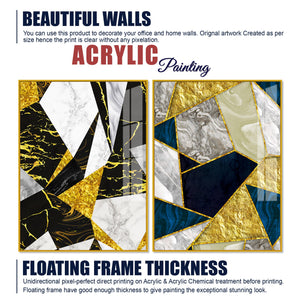 Premium Triangle Pattern Shapes Acrylic Floating Wall Painting Set Of 2