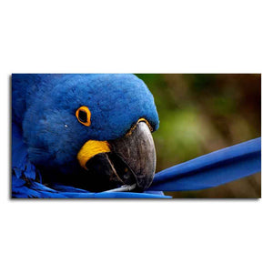 Premium Wall Painting of Blue Mascaw Parrot