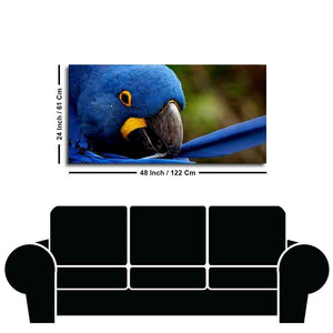 Premium Wall Painting of Blue Mascaw Parrot