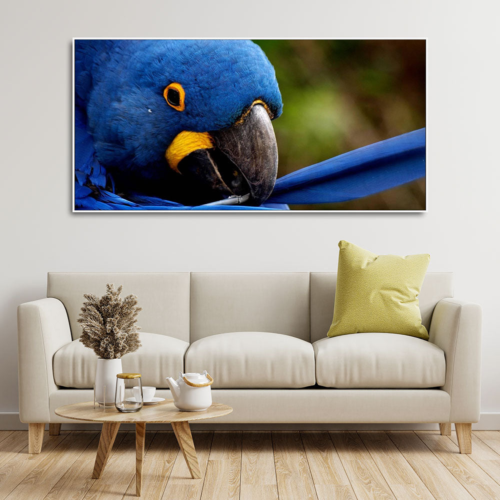 Premium Wall Painting of Blue Mascaw Parrot