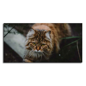 Premium Wall Painting of Cat Walking in Dark Forest