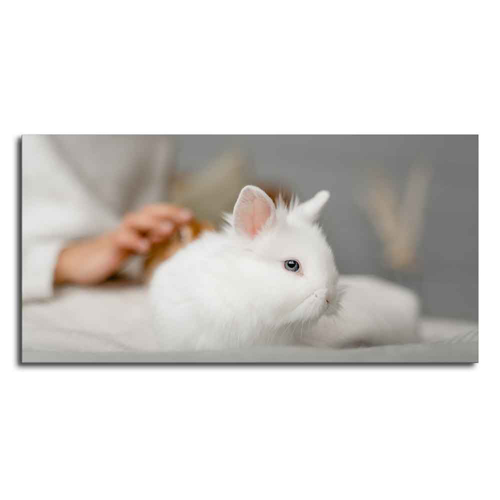 Premium Wall Painting of Cute White Bunny