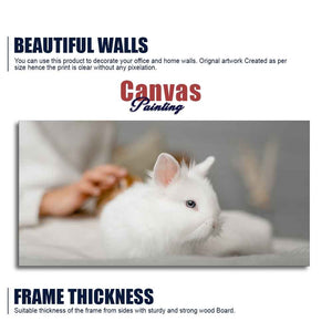 Premium Wall Painting of Cute White Bunny