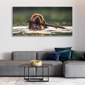 Premium Wall Painting of Dog Swimming