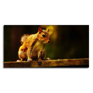 Premium Wall Painting Squirrel in The Dark Forest