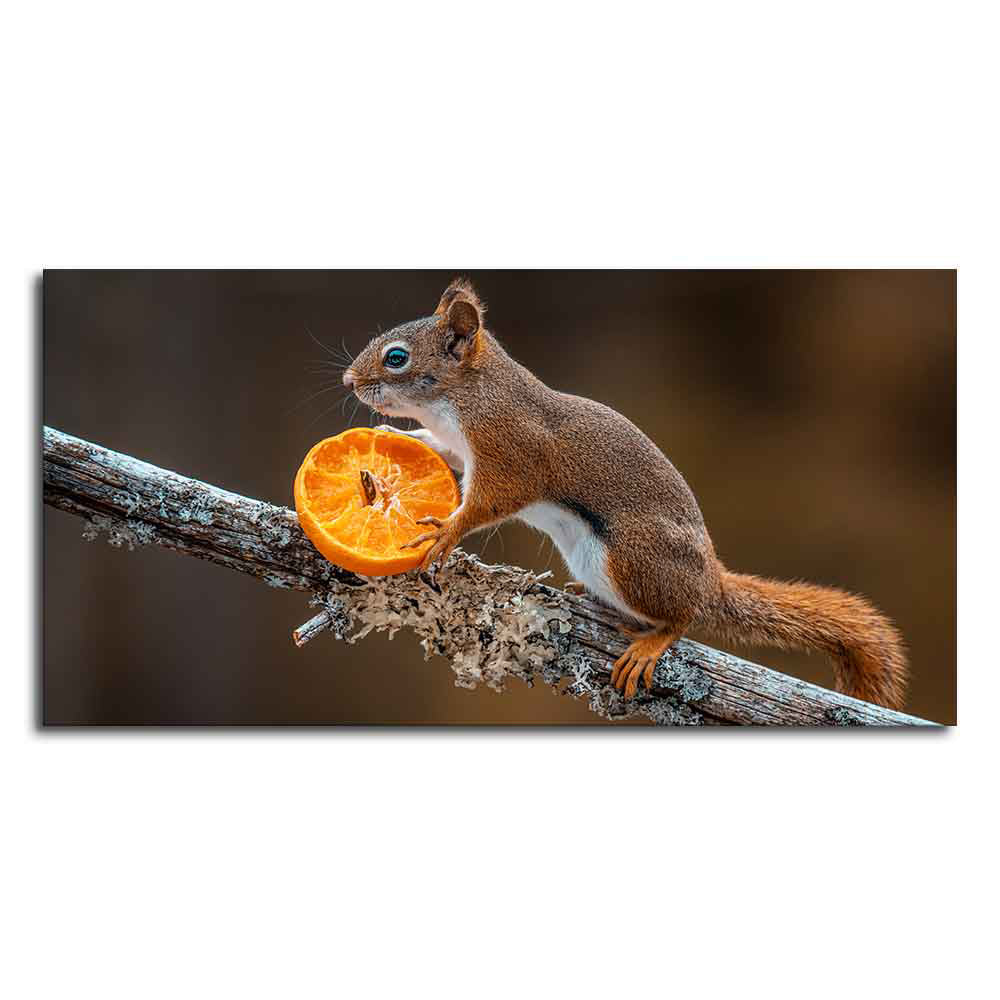 Squirrel on Tree Branch Premium Wall Painting