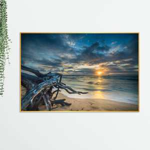 Sunset at Beach Field Wall Painting Floating Canvas