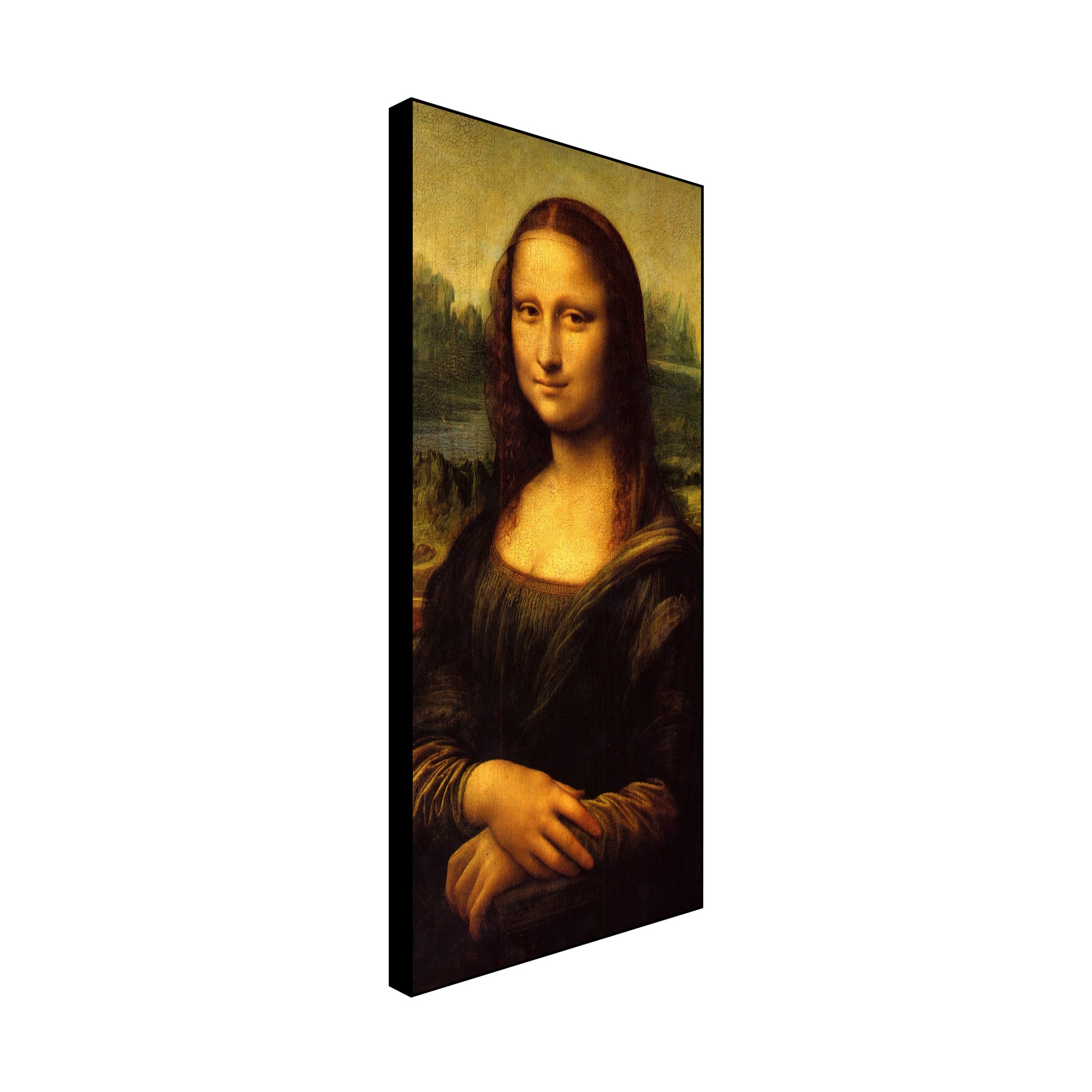 The Mona Lisa Portrait Floating Canvas Wall Art