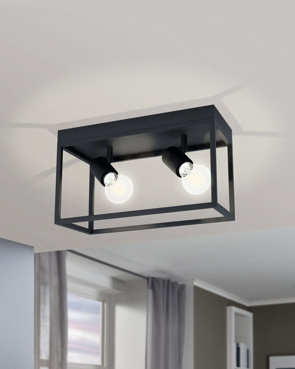 Two Bulb Steel Ceiling Light with Black Clear Glass