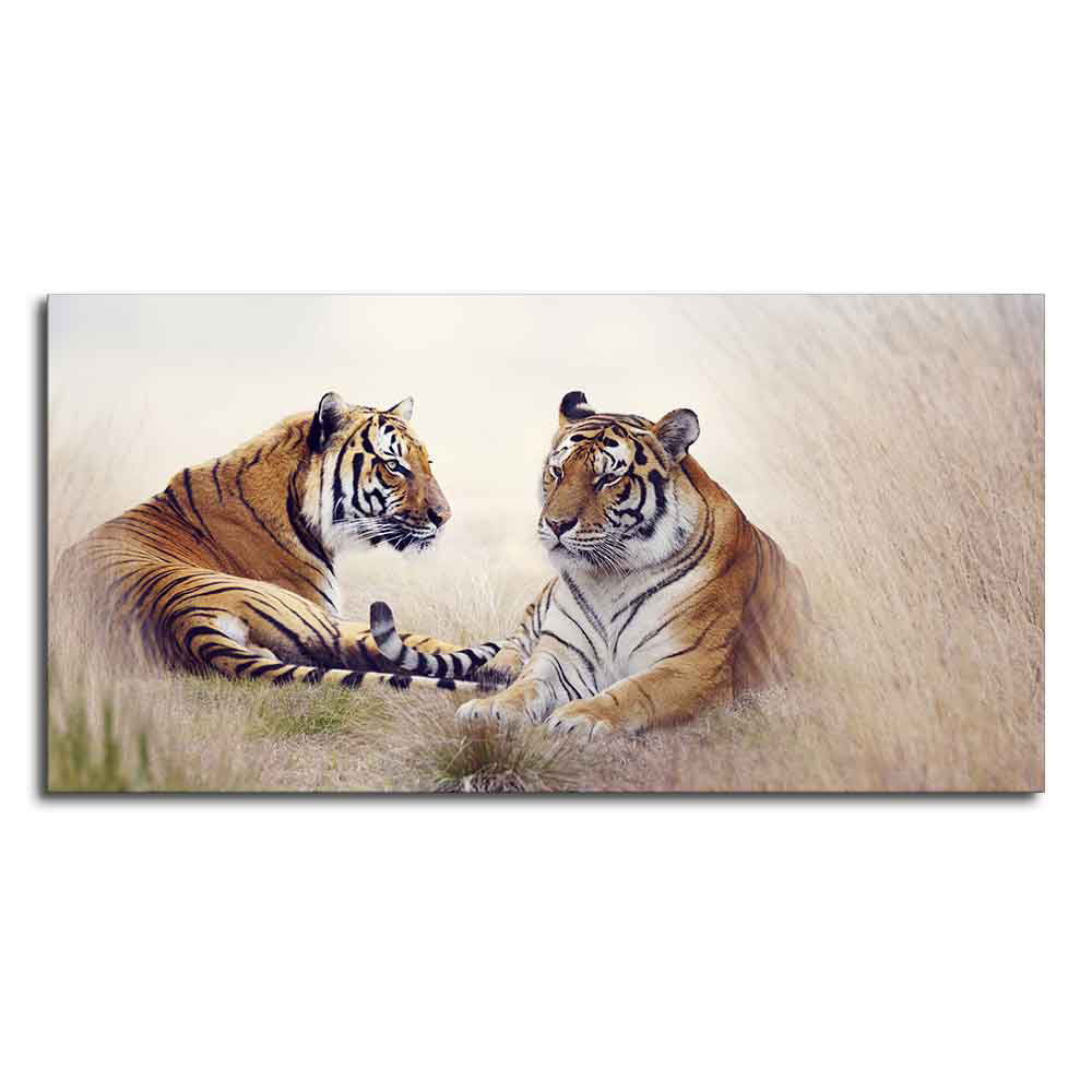 Two Tigers in Forest Premium Canvas Wall Hanging