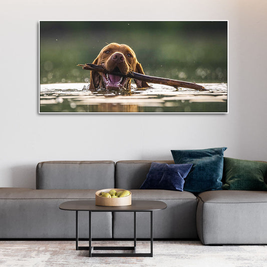 Premium Wall Painting of Dog Swimming