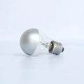 Silver Bright Tipped 100 Watt Filament Bulb ‚Äì Set of 2 bulbs