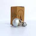 Silver Bright Tipped 100 Watt Filament Bulb ‚Äì Set of 2 bulbs
