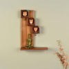 Wild Animals Handcrafted Hanging Wooden Wall Shelf 