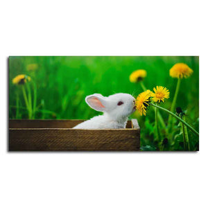 White Bunny in Yellow Flowers Garden Canvas Wall Painting