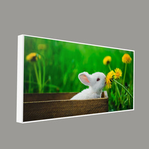 White Bunny in Yellow Flowers Garden Canvas Wall Painting