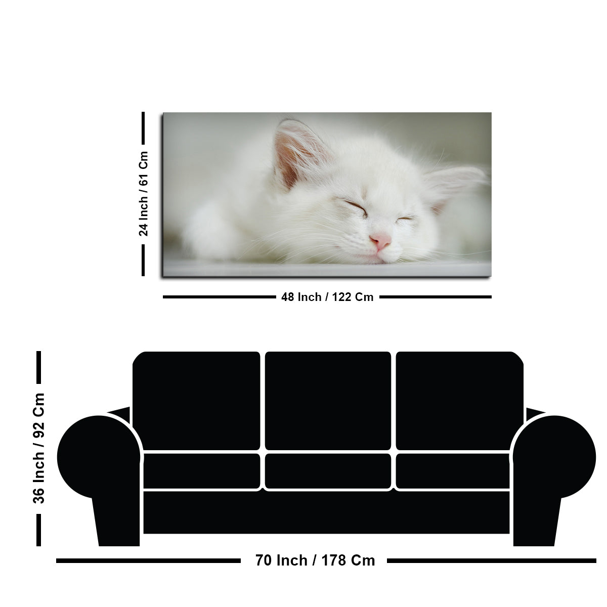 White Kitten Sleeping Canvas Wall Painting